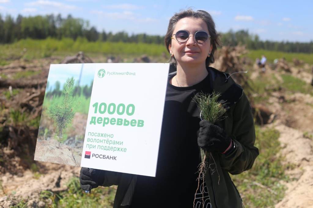 РусКлиматФонд и Росбанк высадили 10 тысяч деревьев в Подмосковье - фото 2