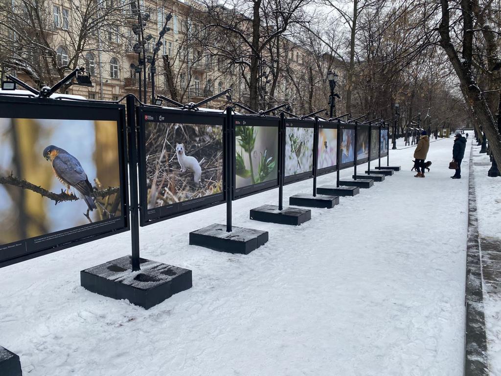 На Гоголевской бульваре открылась выставка фотографий «Биоразнообразие Москвы» - фото 3