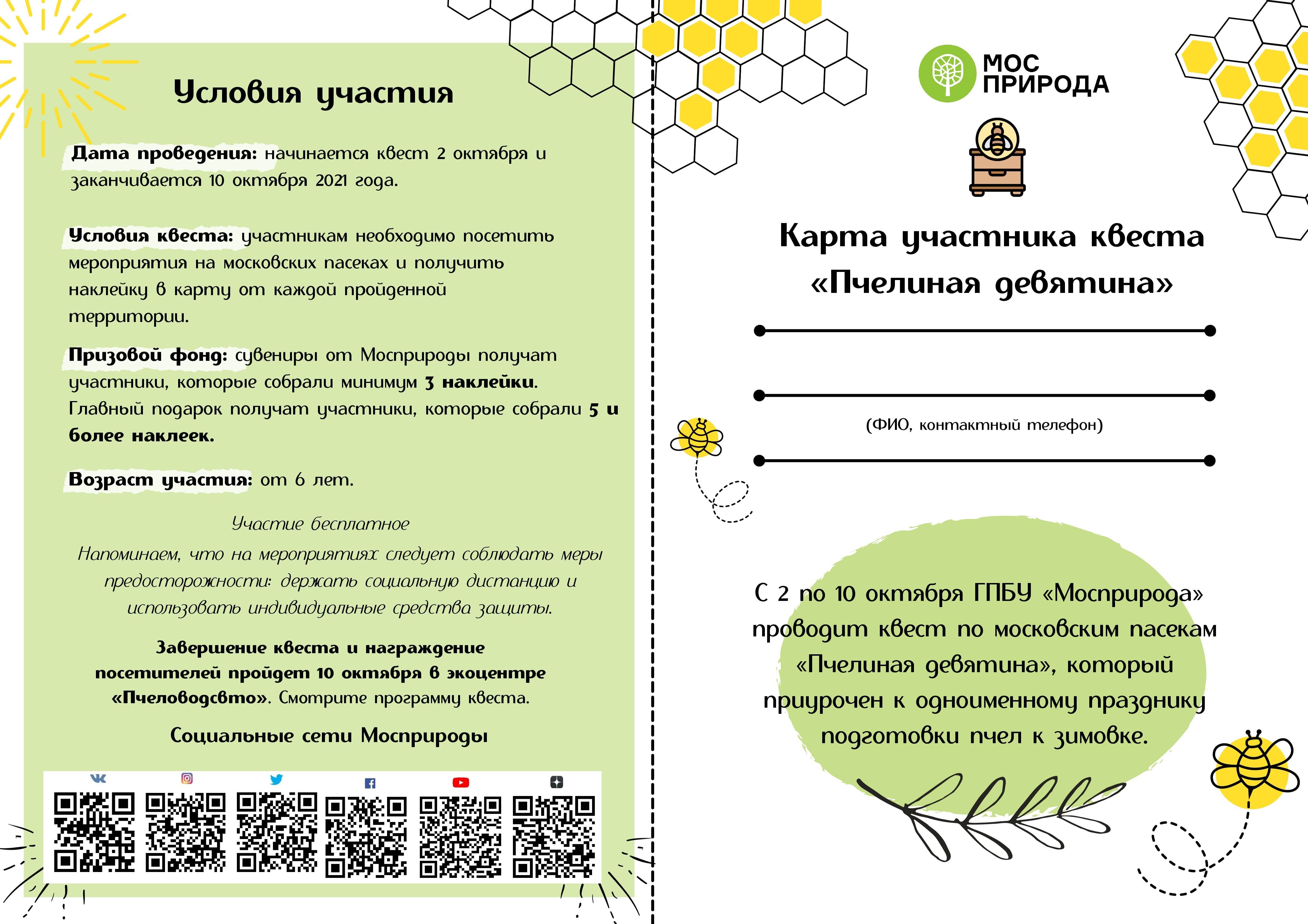 Пчелиная девятина: Мосприрода подготовила квест по московским пасекам - фото 2