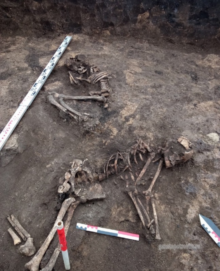 Останки детей 3-тысячелетней давности найдены в Тамбовской области - фото 1