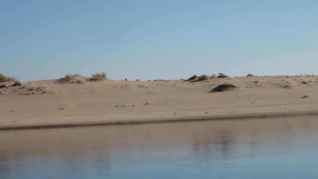 Стремительное наступление песков  может  уничтожить значительную часть полей и пастбищ в Волгоградском регионе - фото 4