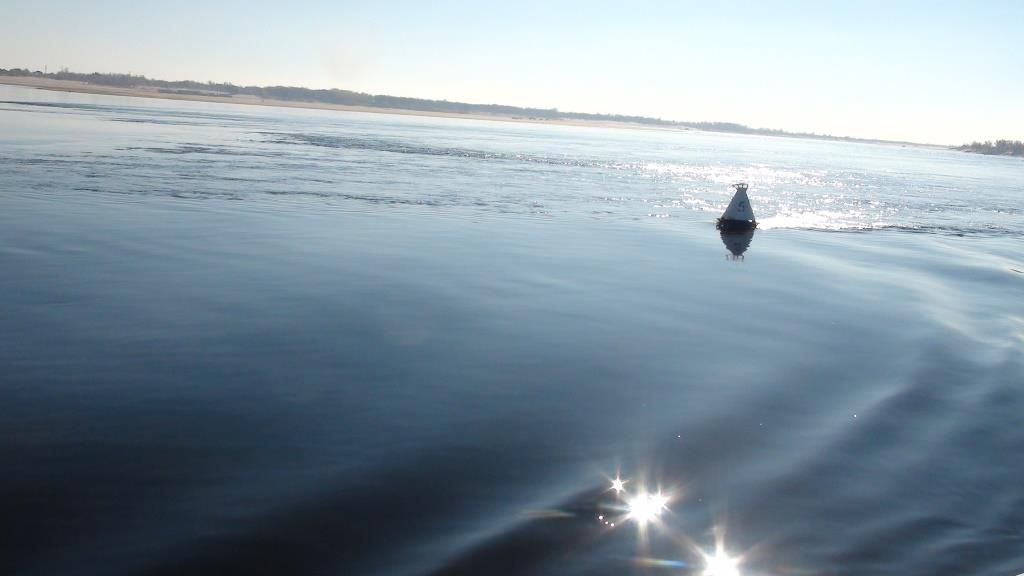 Благодаря проекту "Оздоровление Волги" великая русская река снова сможет стать полноводной - фото 1