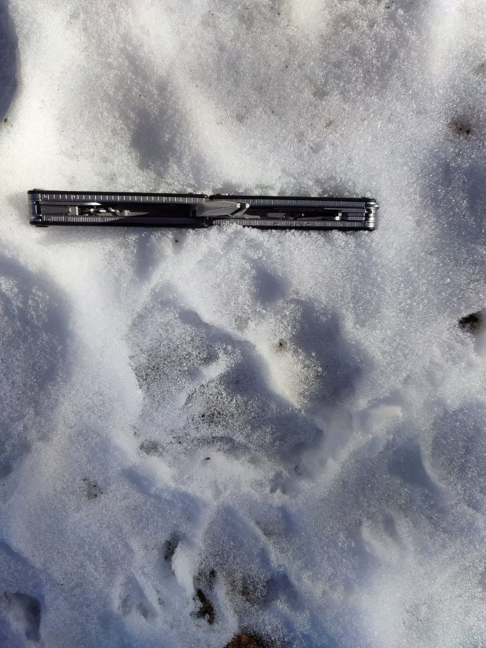 В Кабардино-Балкарии обнаружены следы переднеазиатского леопарда - фото 2