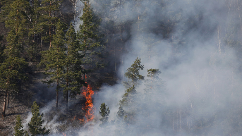 В МЧС сообщили о более чем 15 тысячах природных пожаров в России в 2021 году - фото 1