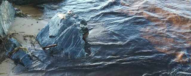 Росприроднадзор обнаружил изменения цвета воды в озере Байкал - фото 1