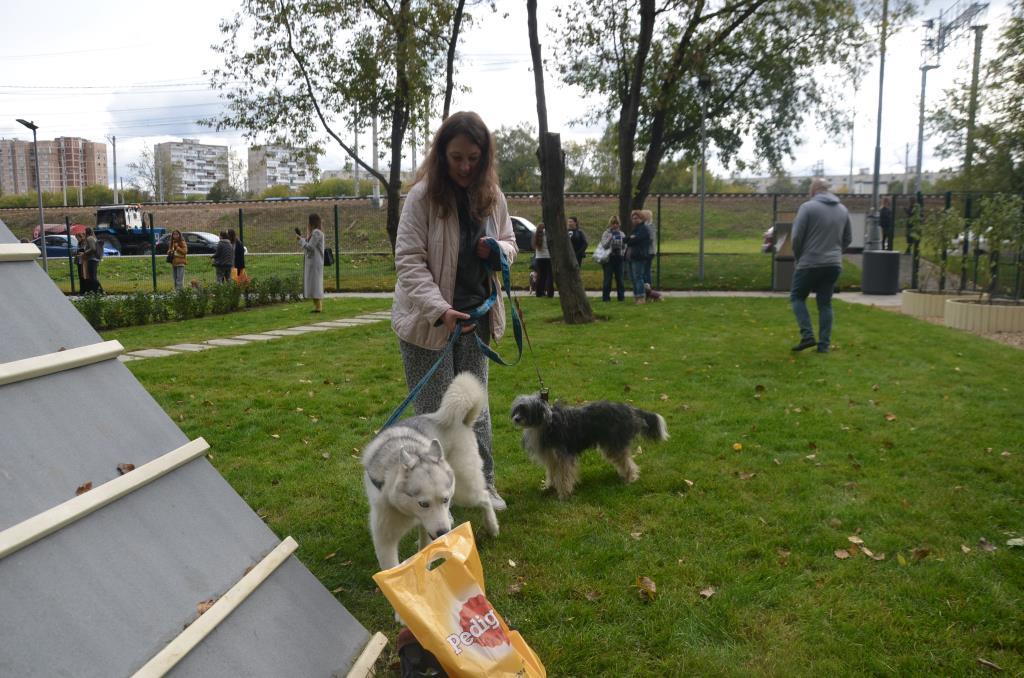  В Москве открылись инновационные площадки для выгула собак  - фото 3