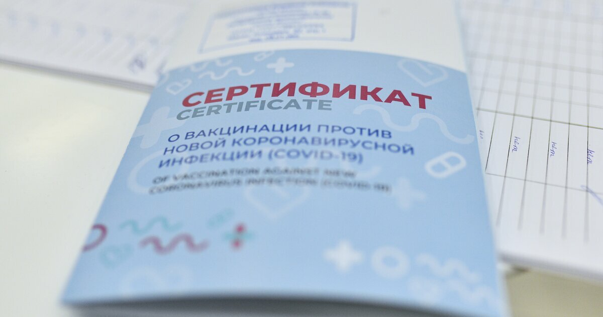 В России с 8 ноября вводится сертификат нового образца о вакцинации от COVID-19 - фото 1