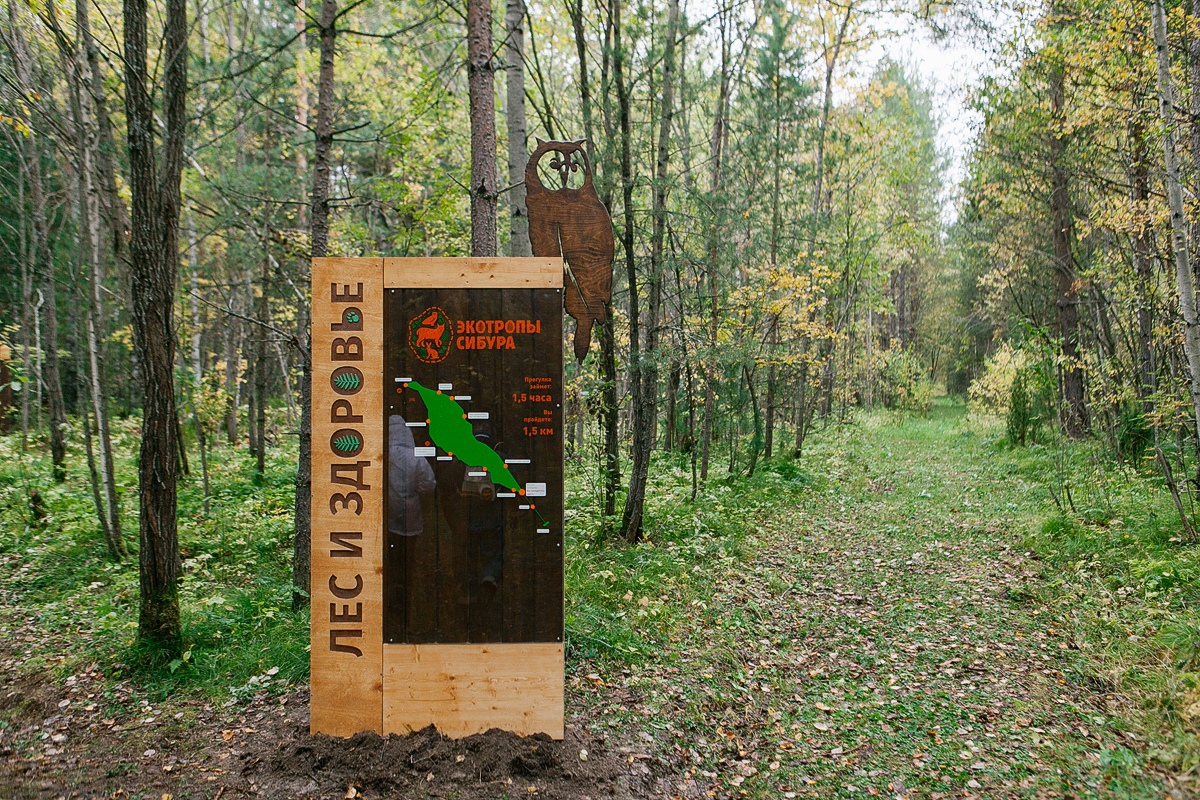 Экотропа «Лес и здоровье» открыта 17 сентября в Тобольске - фото 9