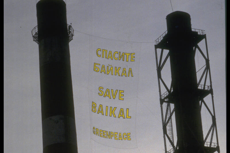 Сегодня Greenpeace — 50 лет - фото 5
