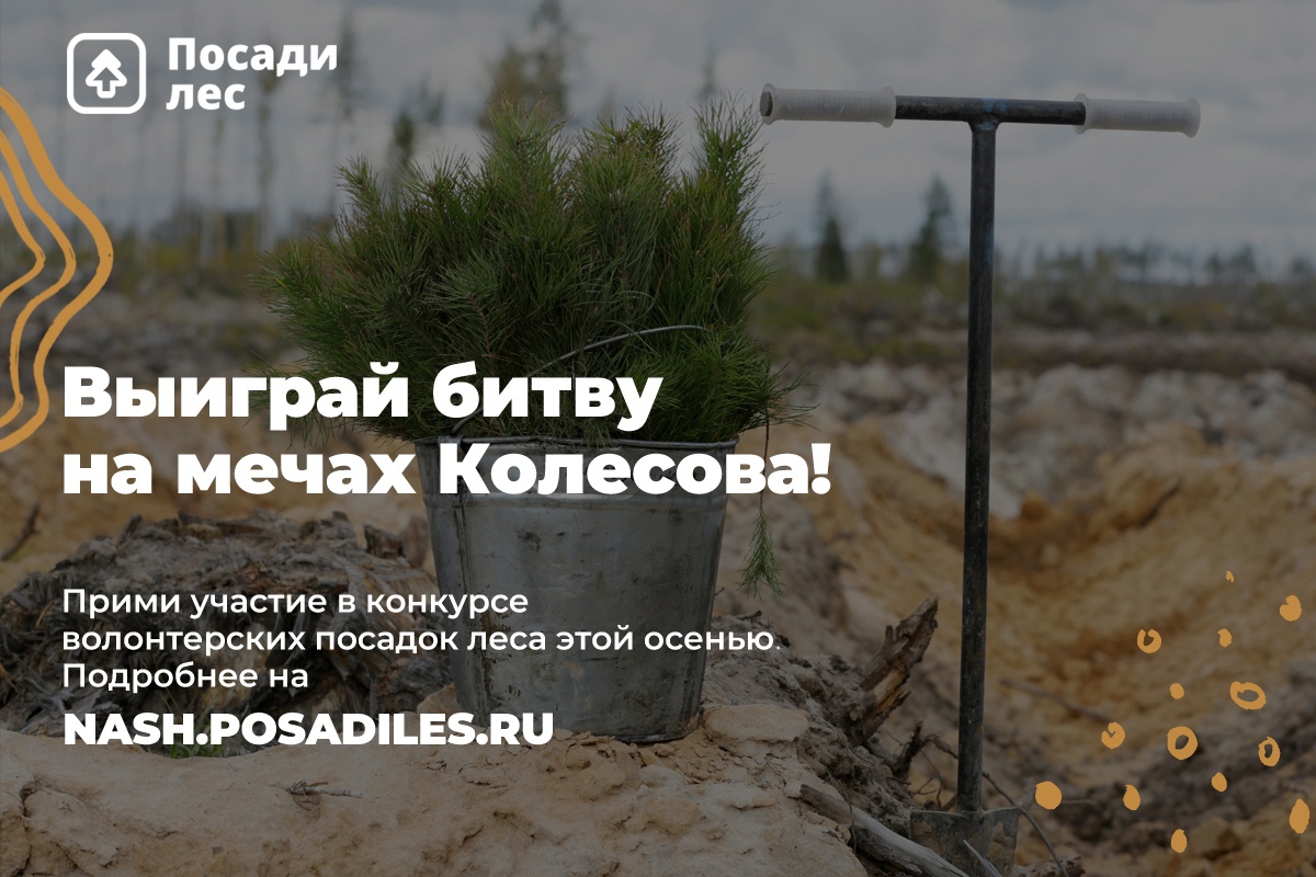 55Конкурс 2