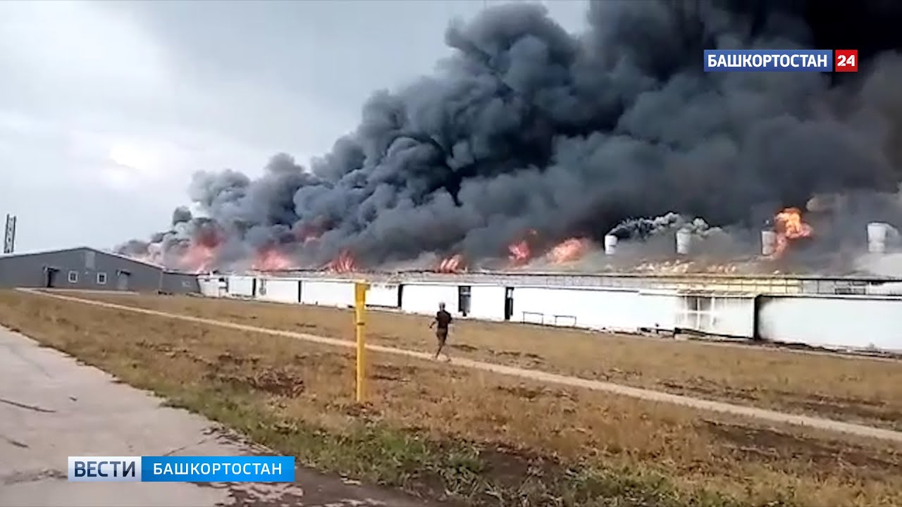 Жуткие кадры пожара на свиноферме в Башкирии - фото 1