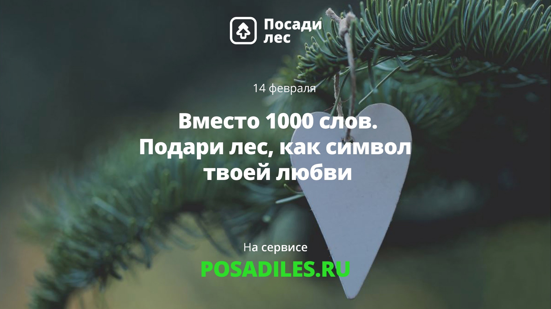 10Вместо 1000 слов