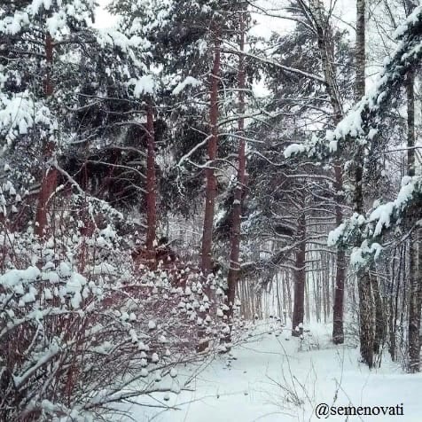 Фотокросс «Стоп-кадр в природе»: Мосприрода подвела итоги конкурса фотографий   - фото 3