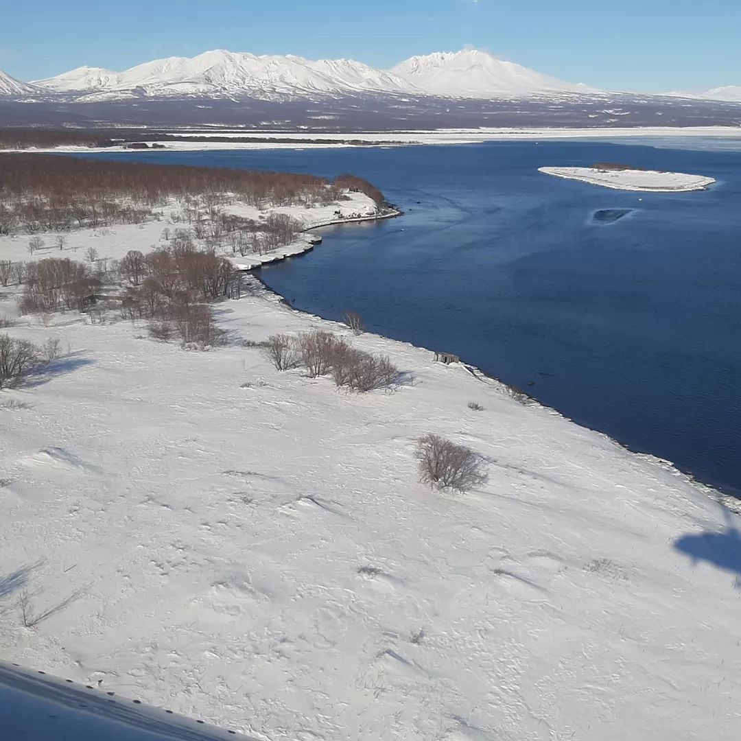 В Кроноцком заповеднике стартовали зимние маршрутные учёты - фото 2