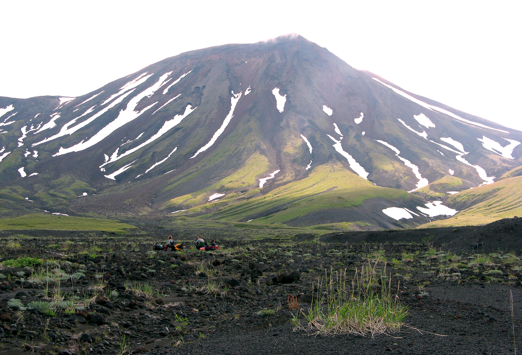 Географы МГУ предлагают внести поправки в российскую классификацию вулканических почв - фото 3