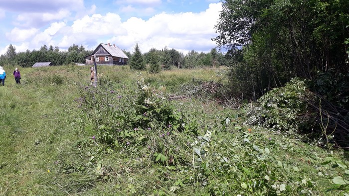 Волонтёры в Кенозерье расчистили территорию для нового информационного центра «Куда ушла деревня Думино» - фото 2
