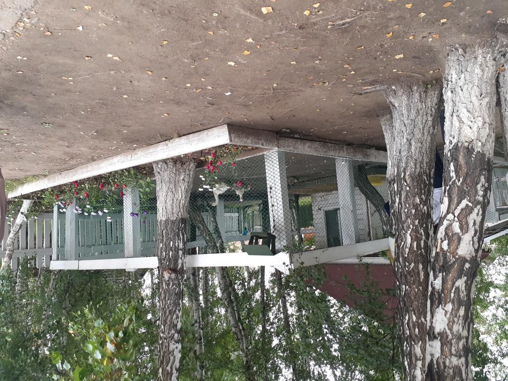 «Никто из нас не умнее всех нас вместе» - фото 5