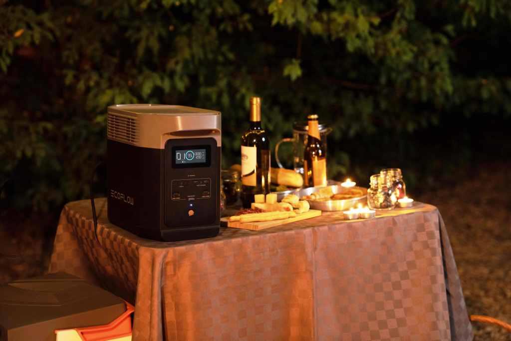 EcoFlow DELTA 2: следующий шаг в развитии альтернативной энергетики  - фото 3