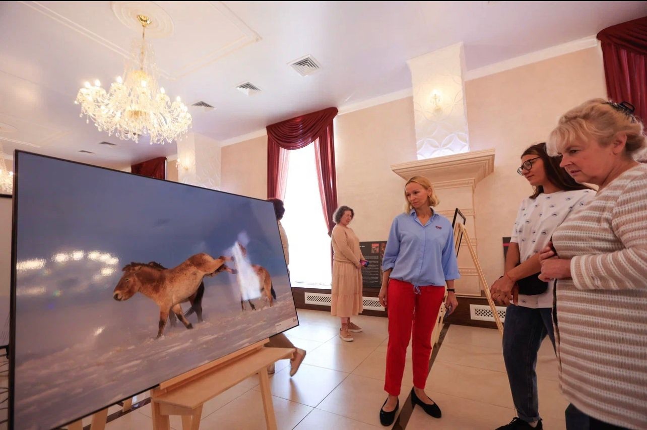В Петропавловске-Камчатском в День знаний открылось сразу три фотовыставки о заповедных территориях и дикой природе - фото 2