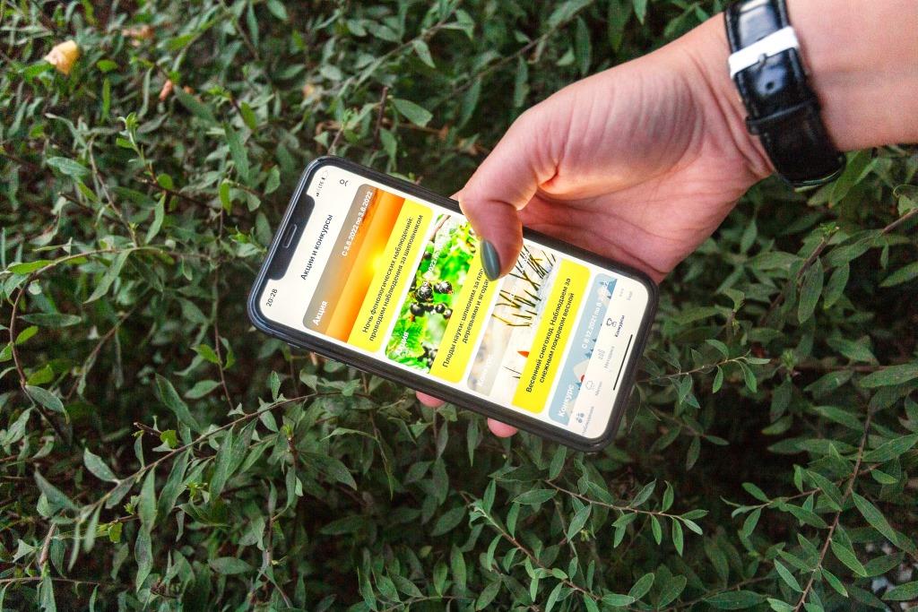 Мобильное приложение "Окружающий мир РГО" позволит повысить качество наблюдений за последствиями изменения климата - фото 2