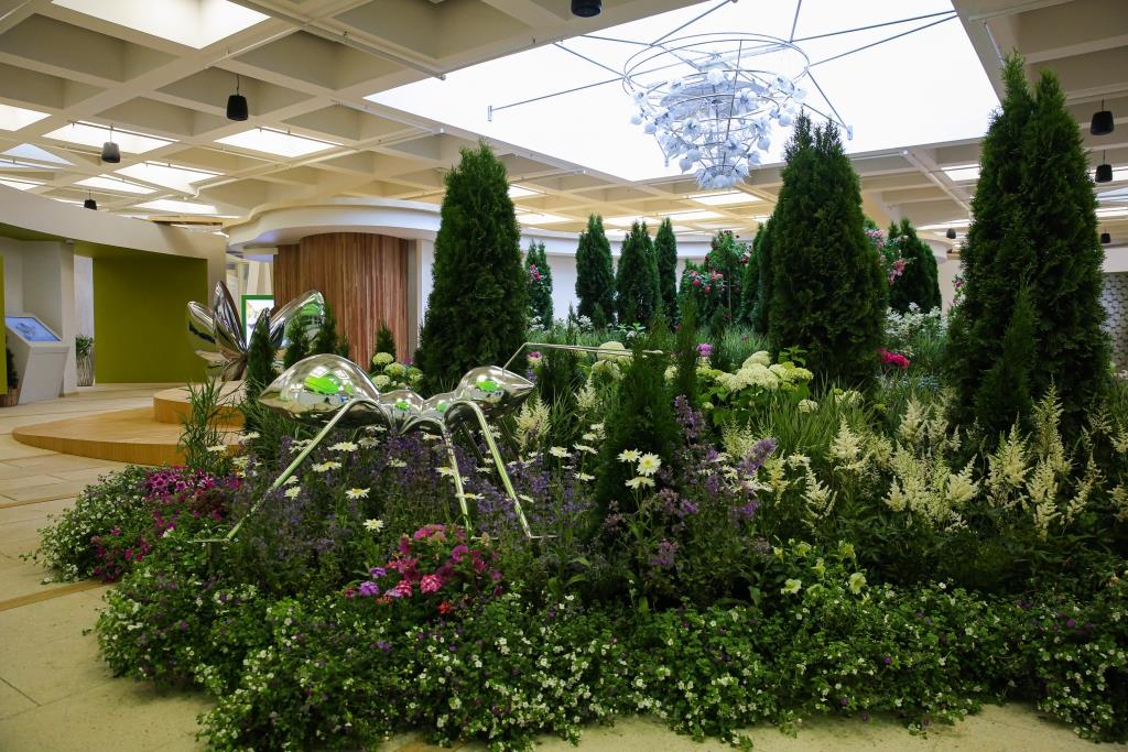 Увлекательное садоводство: Мосприрода открыла новую программу в рамках проекта «Московское долголетие» - фото 3