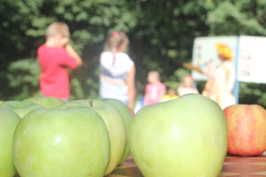 Три Спаса в августе: Мосприрода подготовила тематические мероприятия к «Празднику урожая» - фото 3