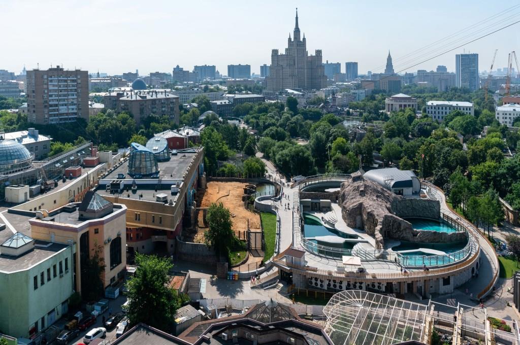 В Московском зоопарке открылся обновленный павильон «Ластоногие» - фото 3