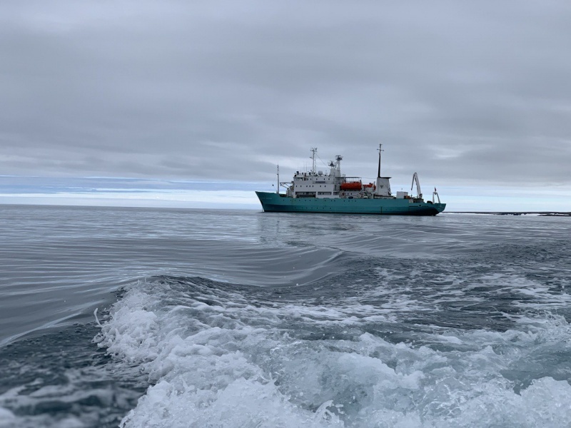 Участники экспедиции «Арктический плавучий университет — 2022: меняющаяся Арктика» провели изучение экосистем северных акваторий  - фото 1