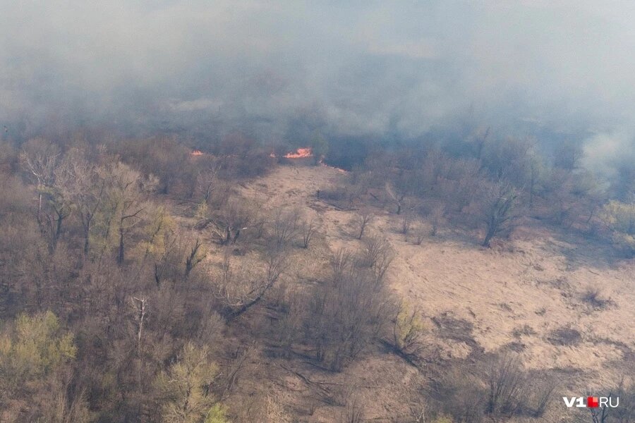 В Волгоградской области объявлена эвакуация жителей из-за крупного лесного пожара - фото 1