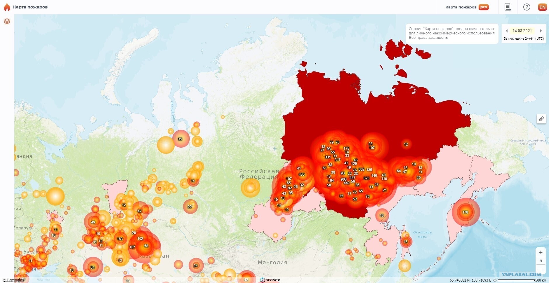 Карта горящих лесов в россии