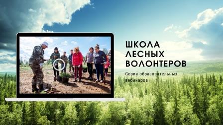 66721ШЛВ4