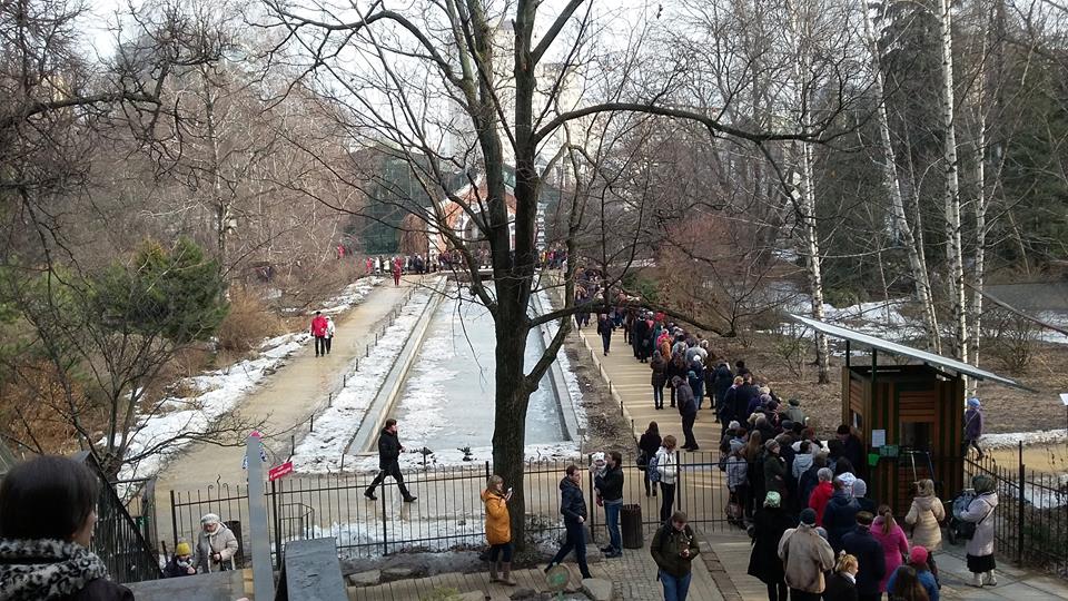 Крупнейший в России фестиваль орхидей «Тропическая зима. В поисках Золотого города» в «Аптекарском огороде» пройдёт с 23 декабря до апреля 2017/18 - фото 1