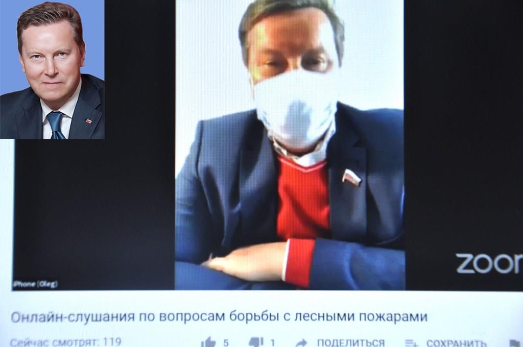 ГД РФ провела онлайн-слушания по вопросам борьбы с лесными пожарами - фото 4