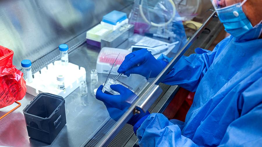 Две вакцины-кандидата против SARS-CoV-2 на основе мРНК, разрабатываемые компаниями Pfizer и BioNTech, получили одобрение FDA на ускоренную процедуру рассмотрения заявки на регистрацию    - фото 1