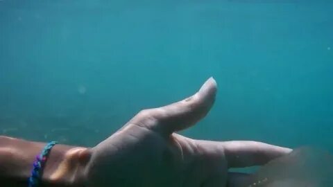  "Доброе слово Экология": знакомьтесь, медуза в Черном море  - фото 1