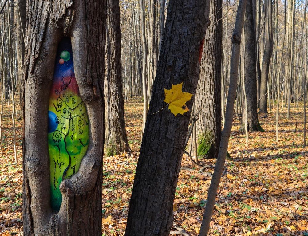 Рисунки на деревьях: в Мосприроде стартует акция «ПаркАрт»   - фото 4