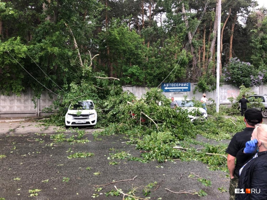 Ураган в Екатеринбурге.. Погибли люди, тысячи домов без электроснабжения, деревья вырывало с корнем…(фото, видео) - фото 3
