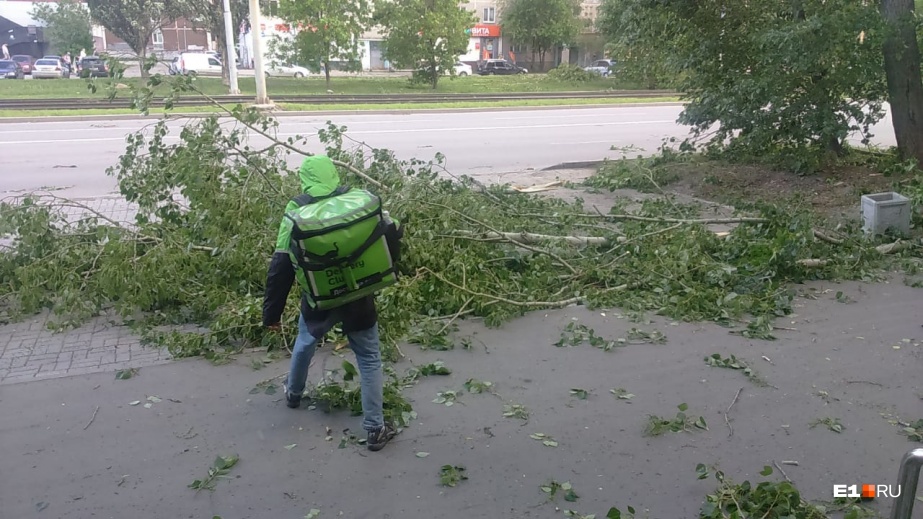 Ураган в Екатеринбурге.. Погибли люди, тысячи домов без электроснабжения, деревья вырывало с корнем…(фото, видео) - фото 9