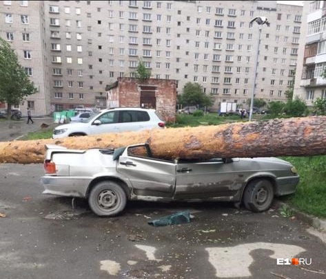 Ураган в Екатеринбурге.. Погибли люди, тысячи домов без электроснабжения, деревья вырывало с корнем…(фото, видео) - фото 11