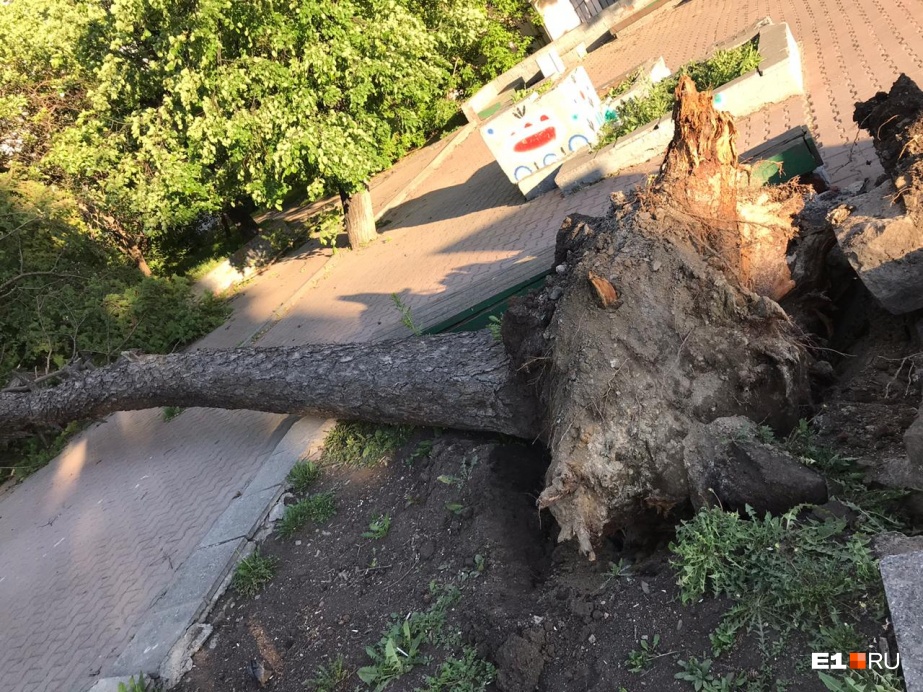 Ураган в Екатеринбурге.. Погибли люди, тысячи домов без электроснабжения, деревья вырывало с корнем…(фото, видео) - фото 5