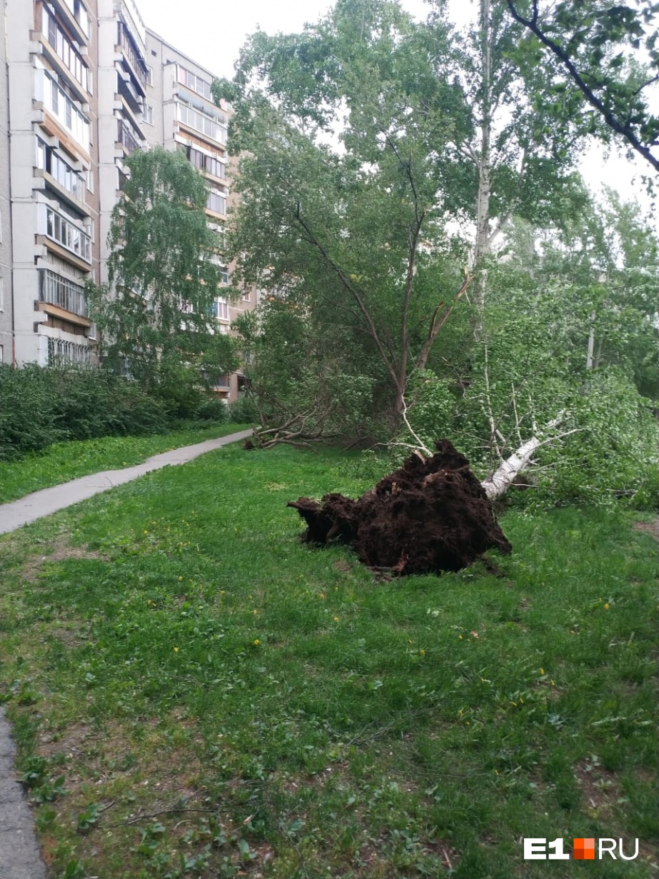 В некоторых регионах России в ближайшие часы прогнозируется шторм - фото 1