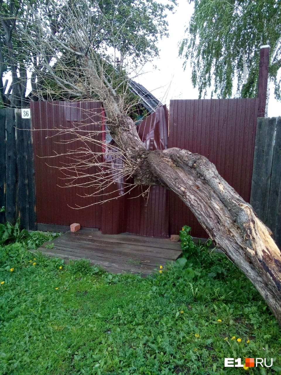 Ураган в Екатеринбурге.. Погибли люди, тысячи домов без электроснабжения, деревья вырывало с корнем…(фото, видео) - фото 19