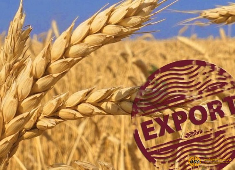 Господство России на мировом рынке пшеницы продолжает расти - Bloomberg (США) - фото 1