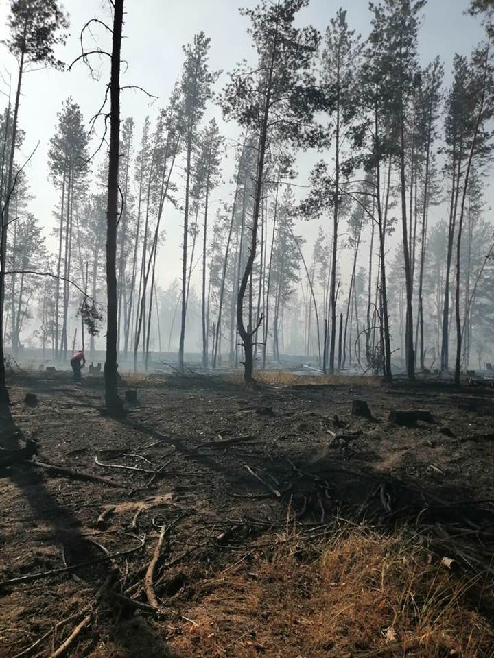 Огненное бедствие в центре России - фото 16