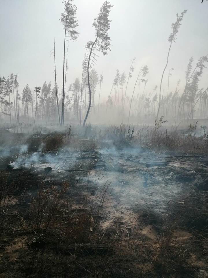 Огненное бедствие в центре России - фото 17