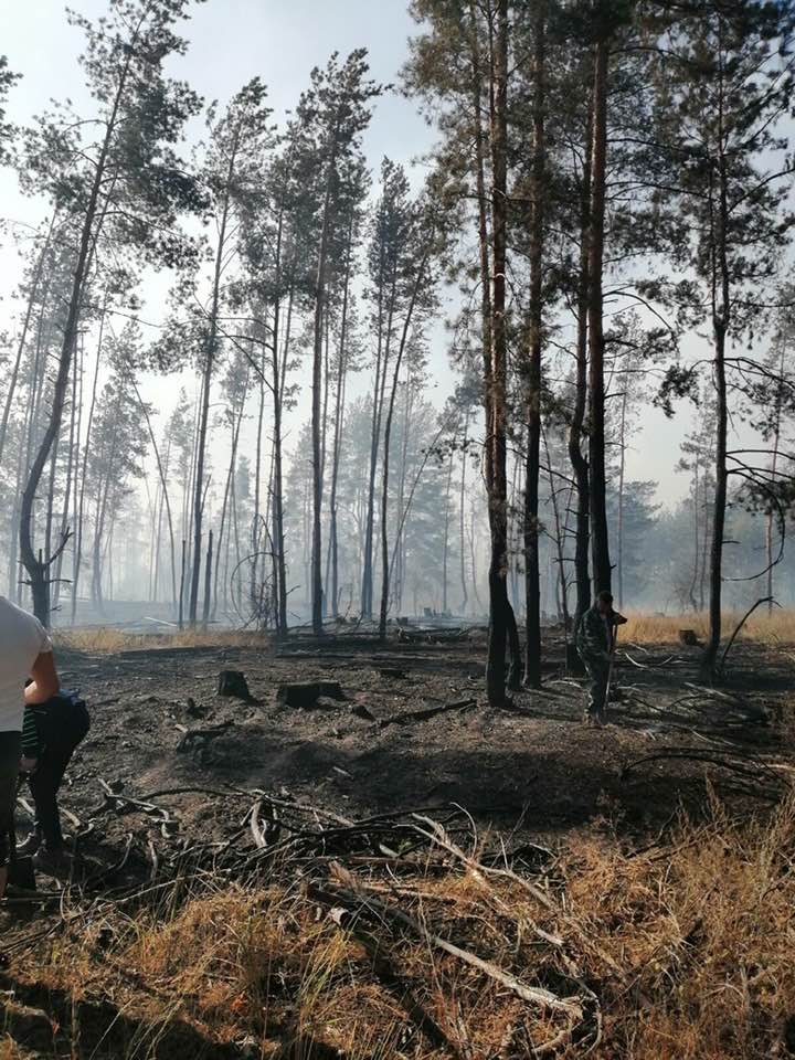 Огненное бедствие в центре России - фото 22