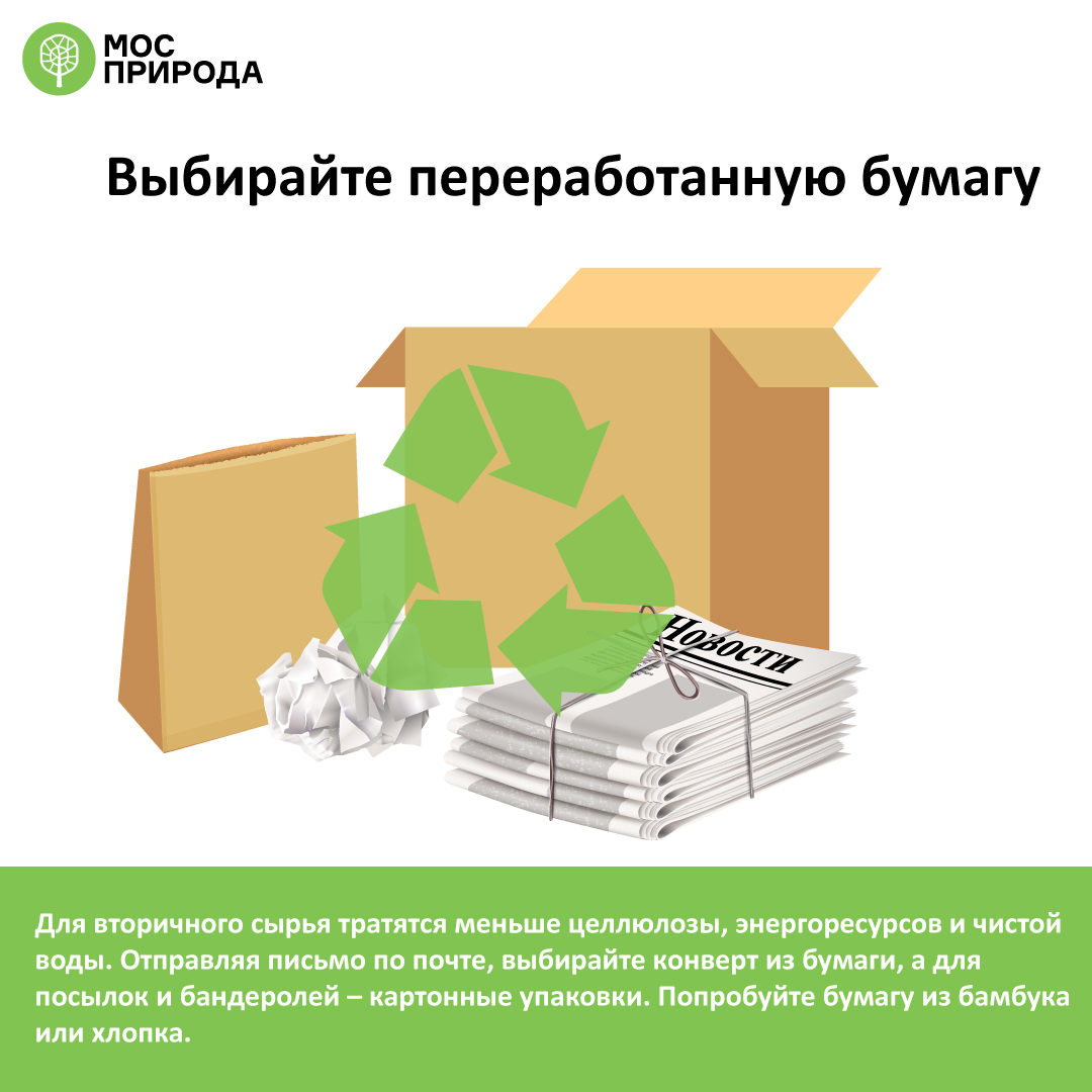Международный день без бумаги: Мосприрода 22 октября приглашает на онлайн-мероприятия - фото 3