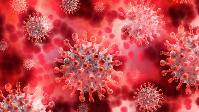 Биомолекулы, подавляющие все коронавирусы, найдены российскими учеными - фото 1