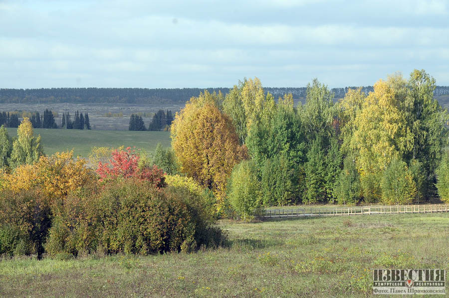 Постановление Правительства РФ узаконило частную собственность на участки лесов - фото 2