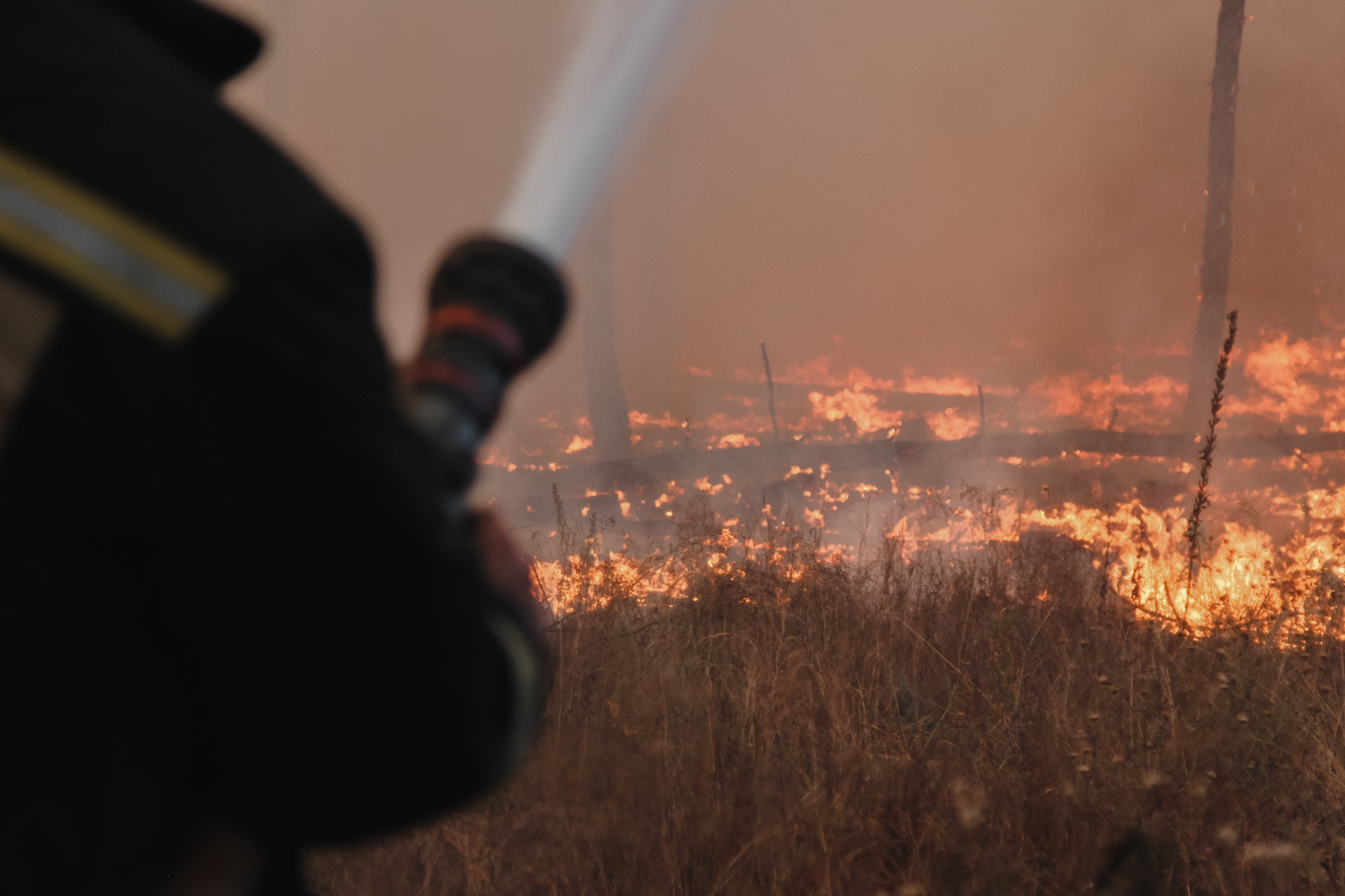 Пожары в Воронежской области приостановлены - СМИ - фото 4